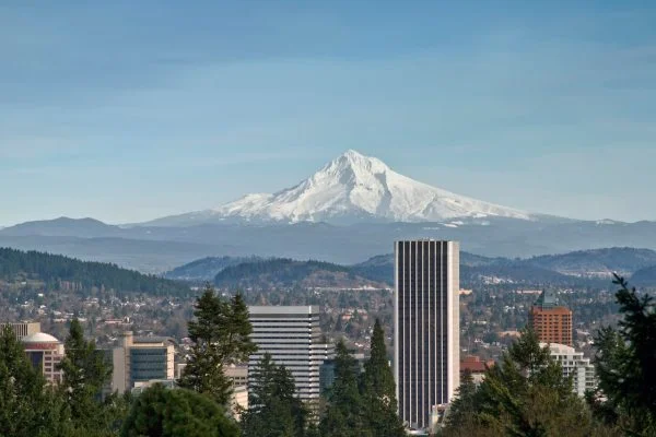 The view of a mountain with a city in Oregon on a page about Cannabis licenses