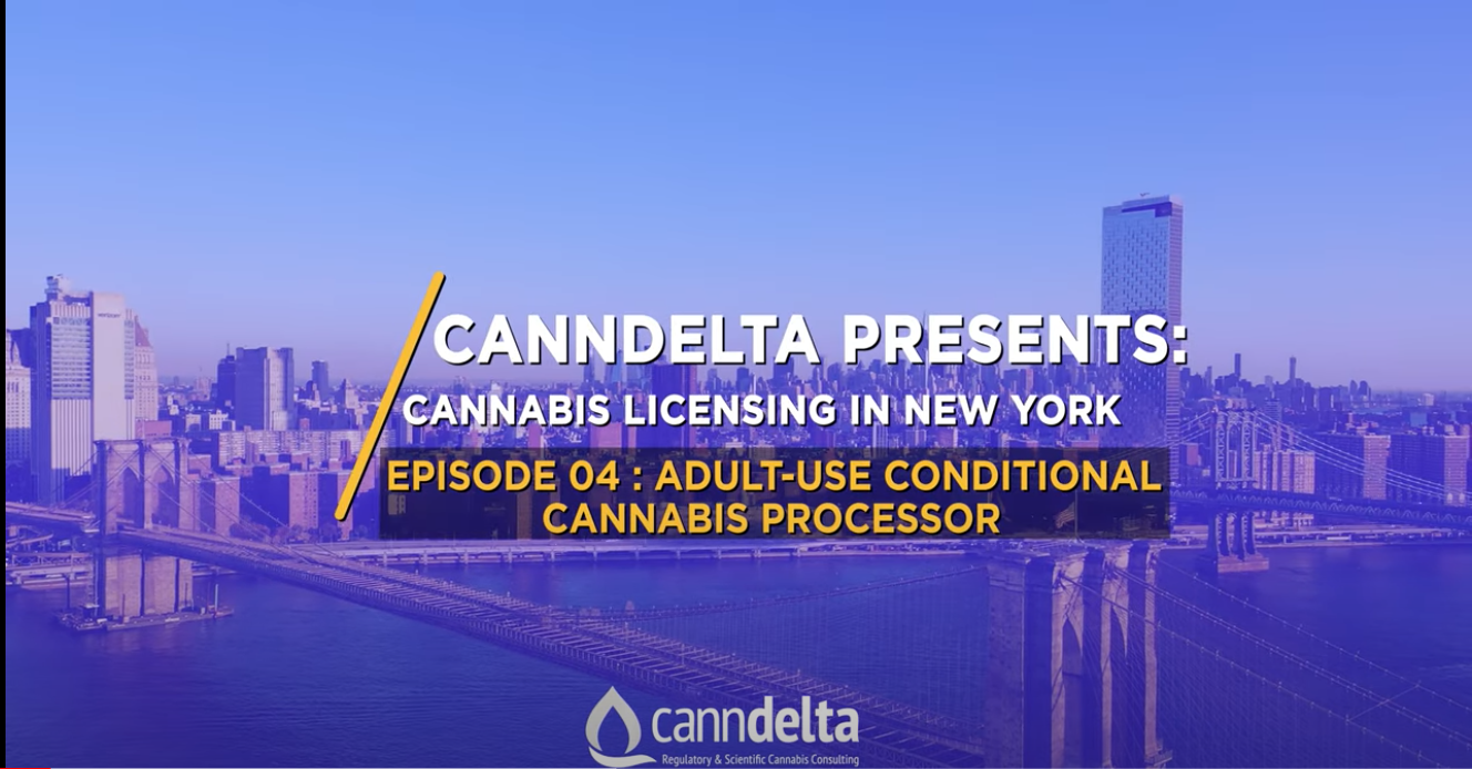 Become a Cannabis Processor in the Sate of New York: Everything You Need to Know Now!
