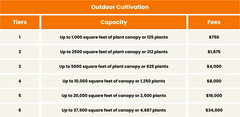 The Infographic about Outdoor Cultivation on the page about Marijuana Dispensary