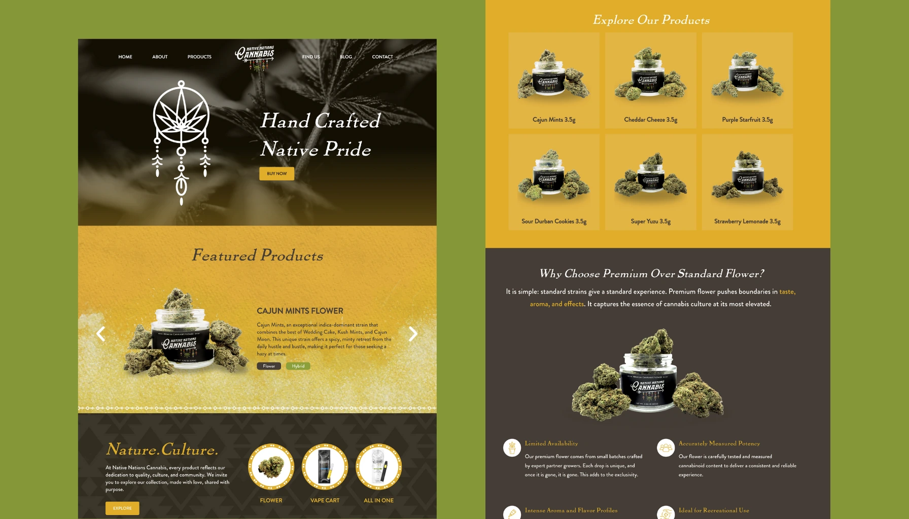 Native Nations New York website design of home page