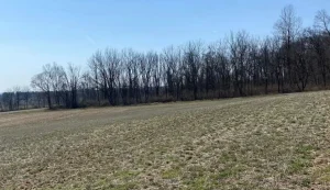Field in a blue sky in New Jersey