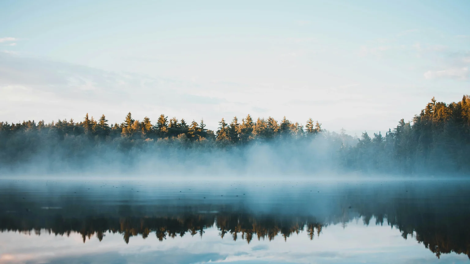Mist on a calm lake at dusk with trees on the horizon
