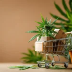 Mini shopping cart holding cannabis plant and product boxes with background foliage.
