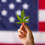 A close-up of a person's hand holding a single green cannabis leaf in front of a blurred American flag background, symbolizing the shift in U.S. cannabis history