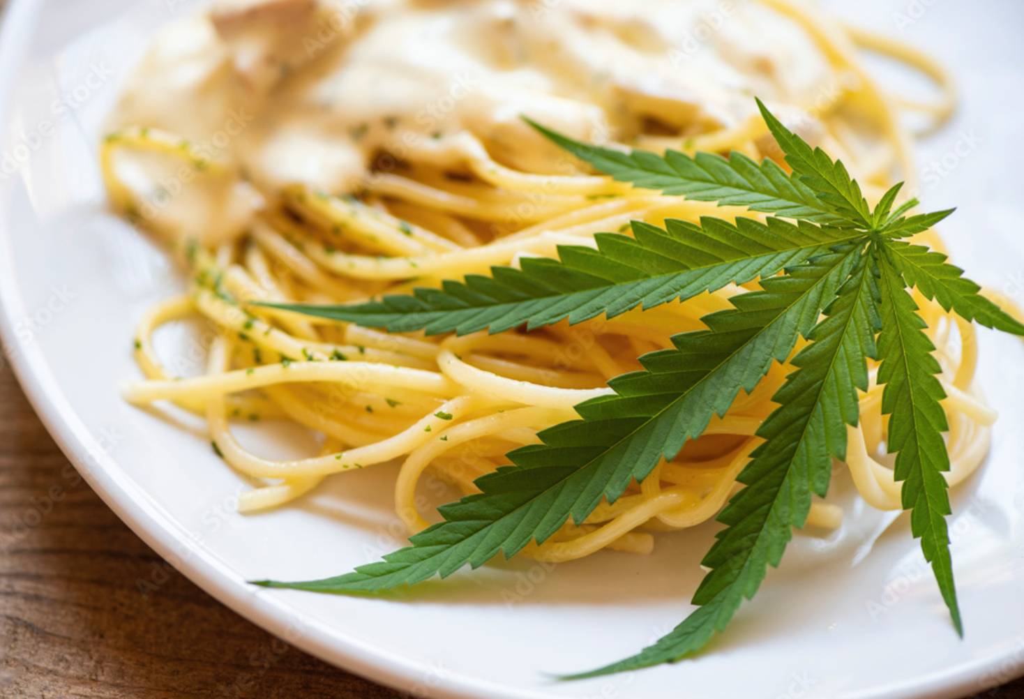 Classic Italian and Comfort Food Paired with Myrcene