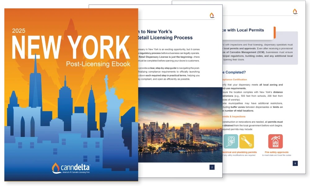 New York Ebook
