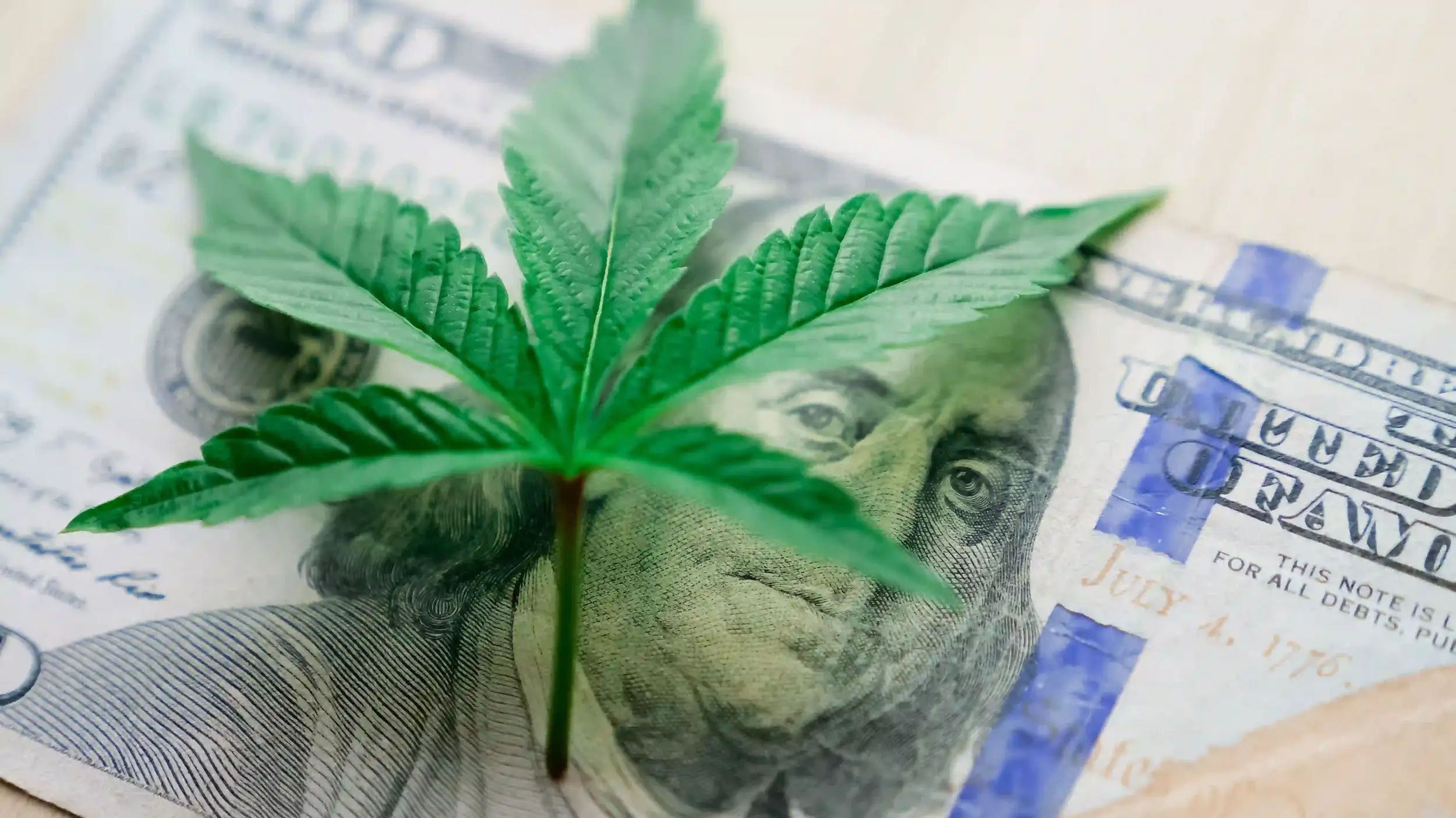 cannabis leaf on united states $100 bill