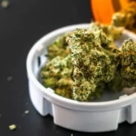 Dried cannabis flower stored inside a white plastic lid sitting next to an orange prescription-style container on a dark surface