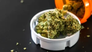 Dried cannabis flower stored inside a white plastic lid sitting next to an orange prescription-style container on a dark surface