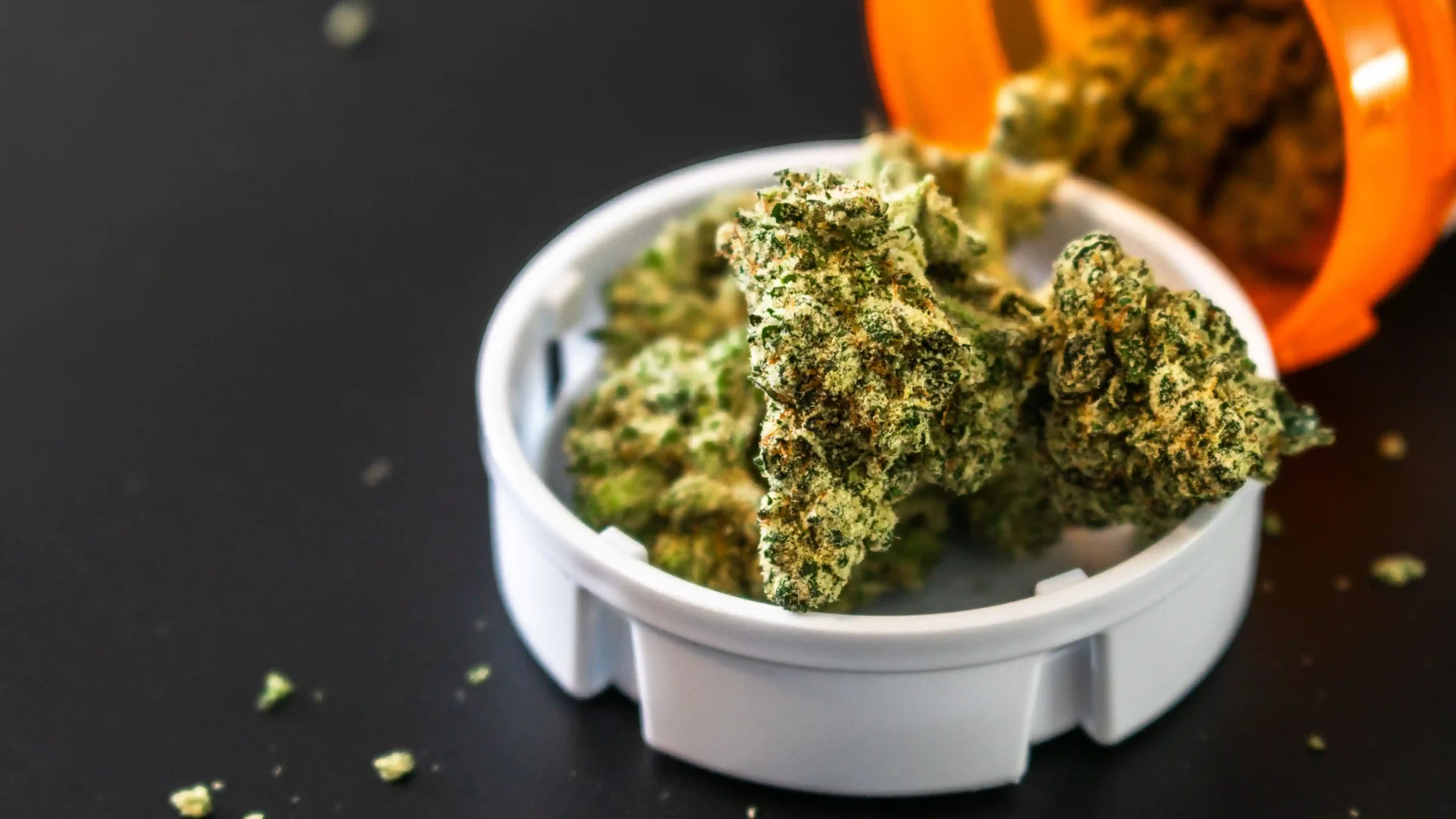 Dried cannabis flower stored inside a white plastic lid sitting next to an orange prescription-style container on a dark surface