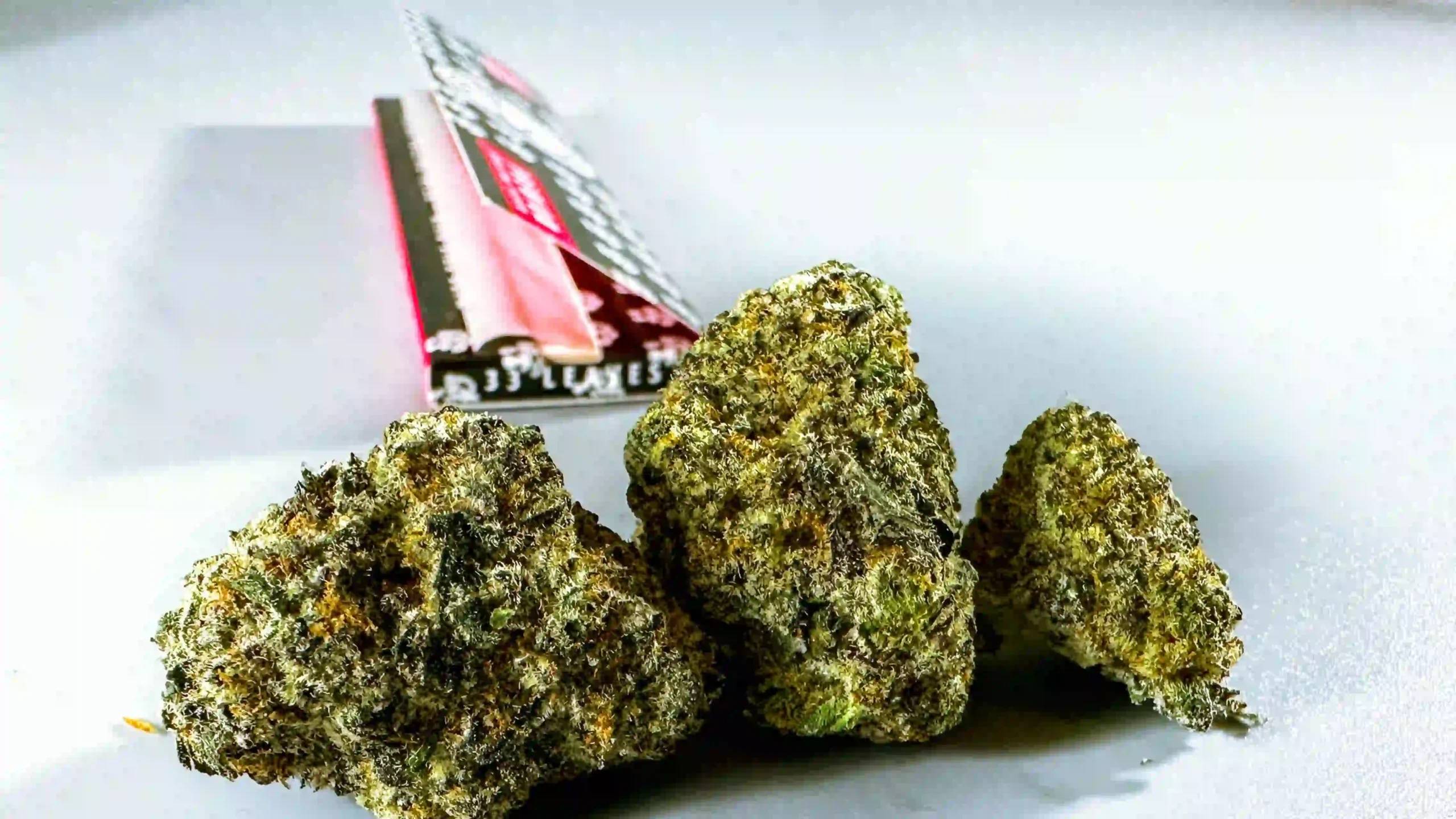 Overhead view of a green cannabis leaf flanked by two small transparent resealable plastic bags printed with cannabis leaf icons on a muted background.