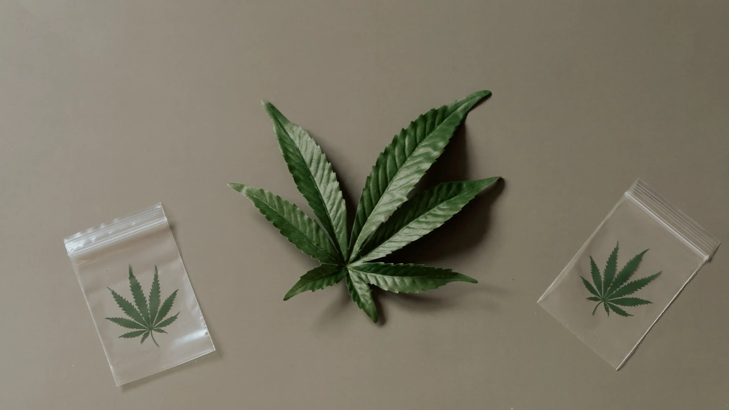 Overhead view of a green cannabis leaf flanked by two small transparent resealable plastic bags printed with cannabis leaf icons on a muted background.
