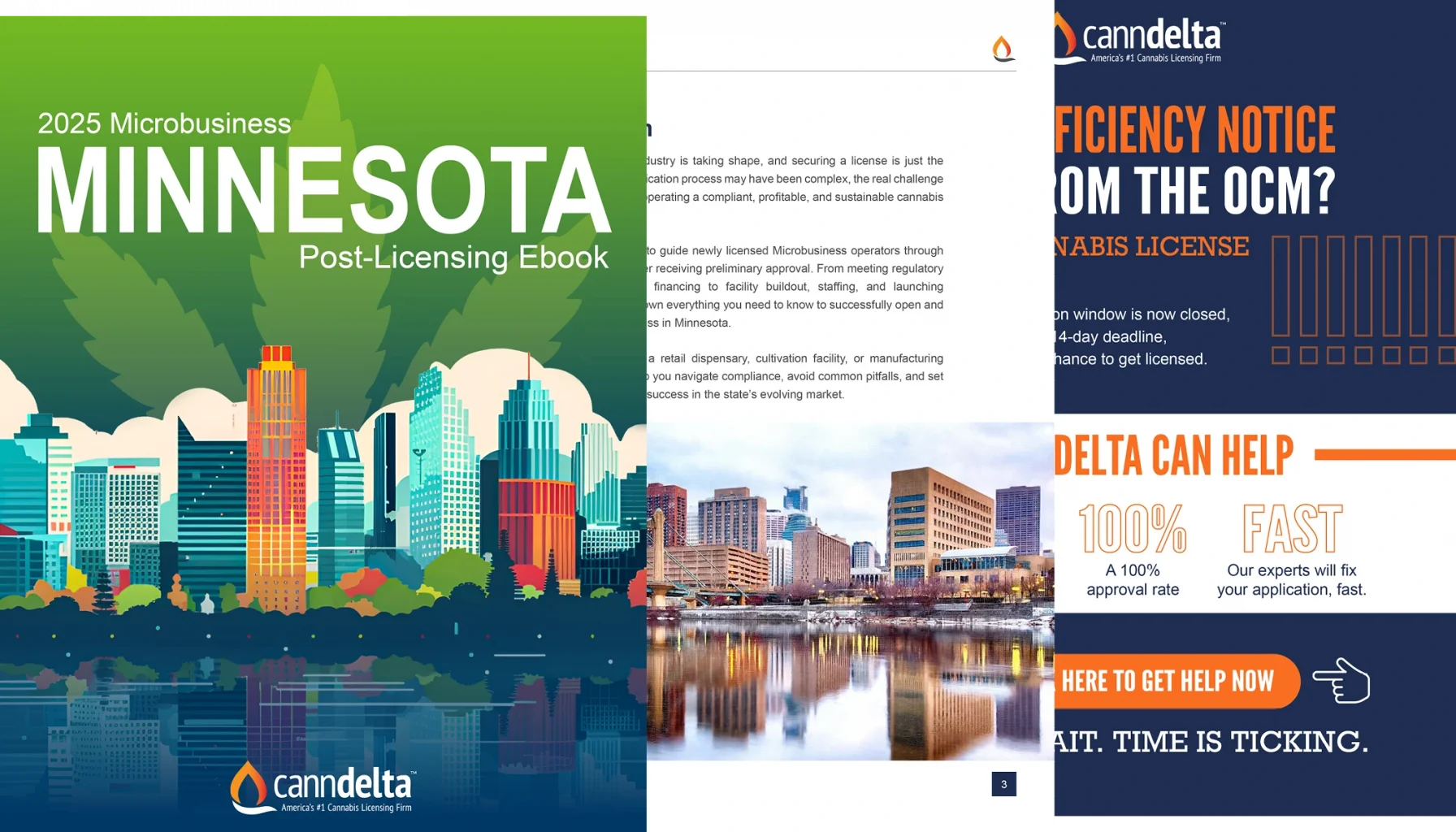 Minnesota post-licensing ebook